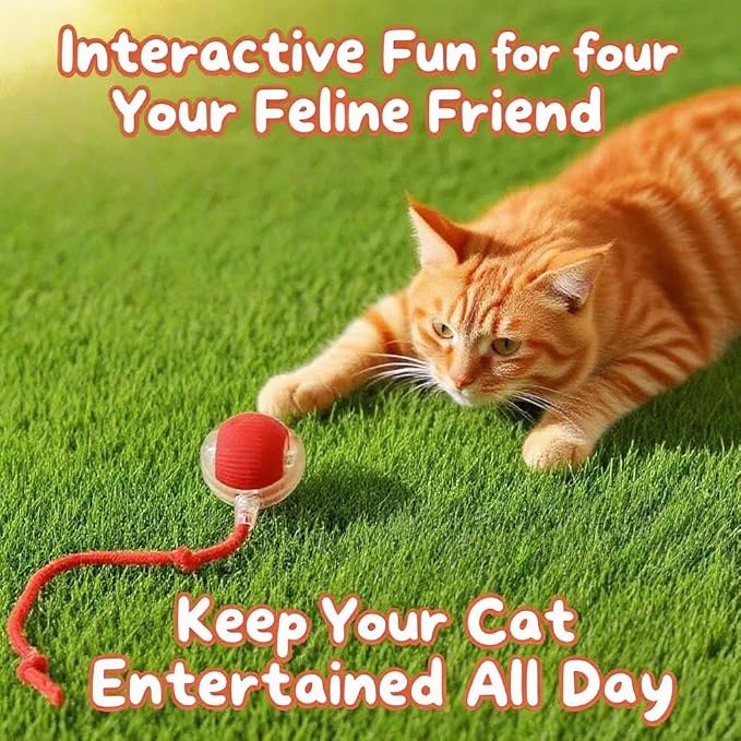 Interactive Cat Toys for Indoor Cats - Motion Activated Cat Balls with 360° - Kitten Toys to Relieve Boredom for Bored Kitten Pet Cats Dogs (Gray)