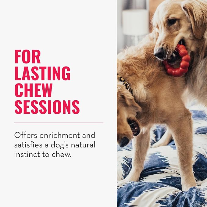 KONG Ring - Natural Rubber Ring Toy for Healthy Chewing Habits - Chew Toy Supports Dog Dental Health - Dog Toy Supports Instincts During Playtime - for Small/Medium Dogs (Pack of 2)