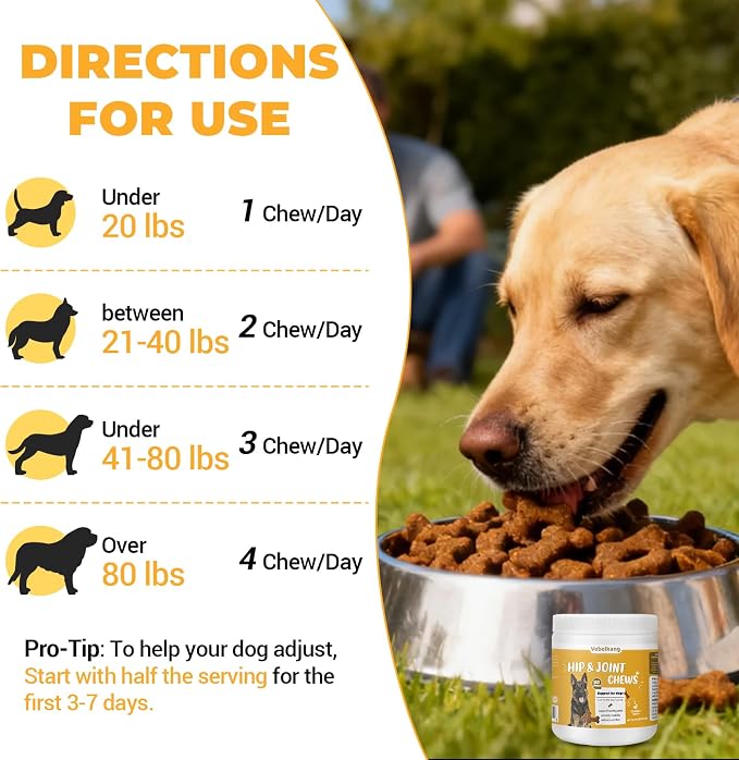 360 Chews Glucosamine Chondroitin Joint Chews for Dogs, Chicken Flavor 13 in 1 with Glucosamine, Chondroitin, MSM, Omega-3 Support Hip & Joint Support - Joint Pain Relief Flavored Fit All Breed