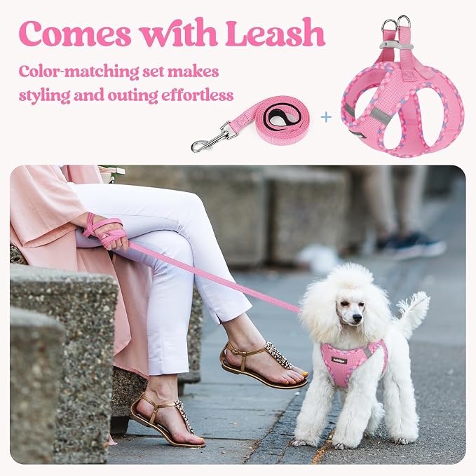 rabbitgoo Dog Harness Small Sized and Leash Set, Step-in Puppy Pet Vest | Light, Soft, Breathable Air Mesh, Easy on and Remove with Hook & Loop, Secure Reflective for Walking, Pink & Plaid Trim M