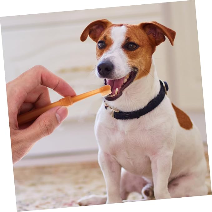 Toyvian Cat and Dog Toothbrush Set Dual Head Silicone Pet Toothbrush for Gentle Cleaning Soft Bristles for Cats and Small Dogs Portable Pet Oral Care Tool