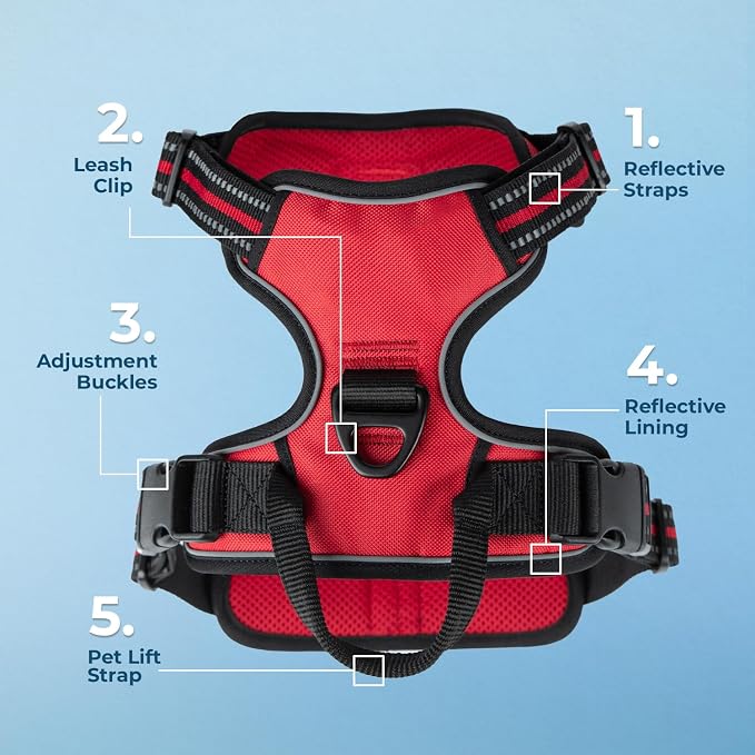 Voyager Dog Harness Dual Leash Attachment No-Pull Control Adjustable Soft but Strong Pet Harness for Medium and Large Dogs with 3M Reflective Technology, Leash Set Red Nylon, L (Chest: 25-30")