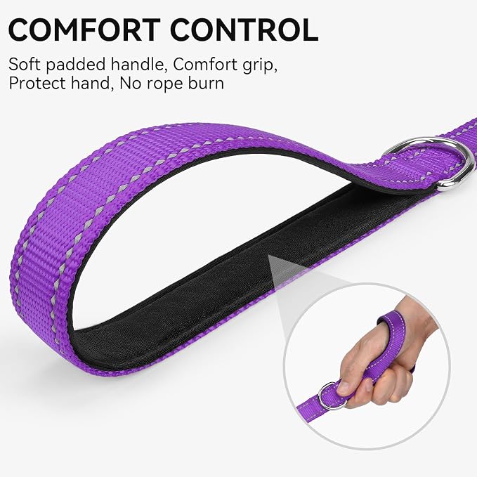Joytale Reflective Dog Leash for Small Dogs, 4 FT x 3/4", Purple | Heavy Duty Nylon Webbing, Padded Handle for Comfort, Visible at Night, for Walking & Training