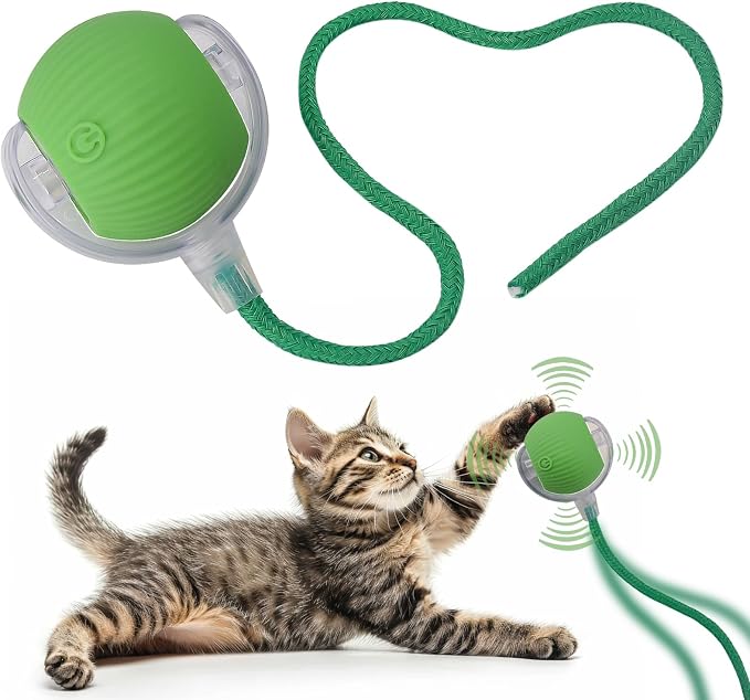 Interactive Cat Dog Toy Ball with LED Light, Automatic Rolling(Green) | String Tail and LED Light Design, Motion Activated, Suitable for Interactive Indoor Pet Play and Exercise