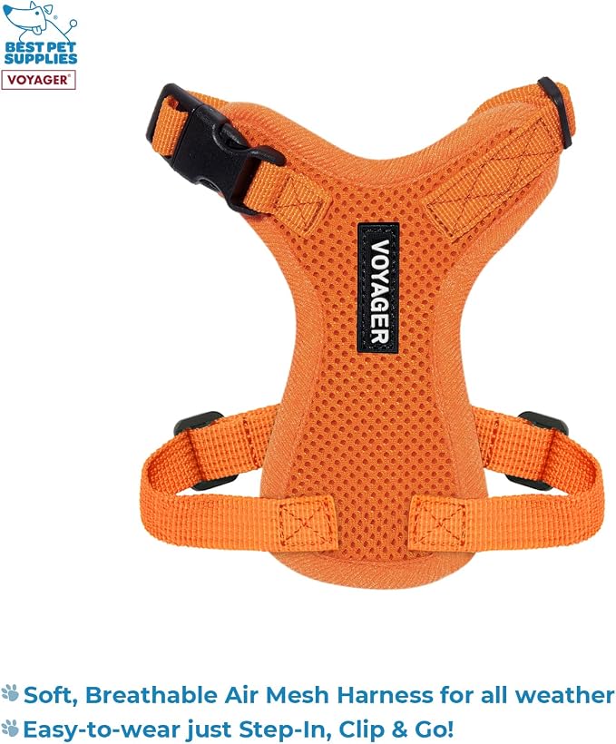 Best Pet Supplies Voyager Step-in Lock Pet Harness w Reflective Pet Leash Combo Set with Neoprene Handle 5ft - Supports Small, Medium and Large Breed Puppies/Cats - Orange Set, XXXS