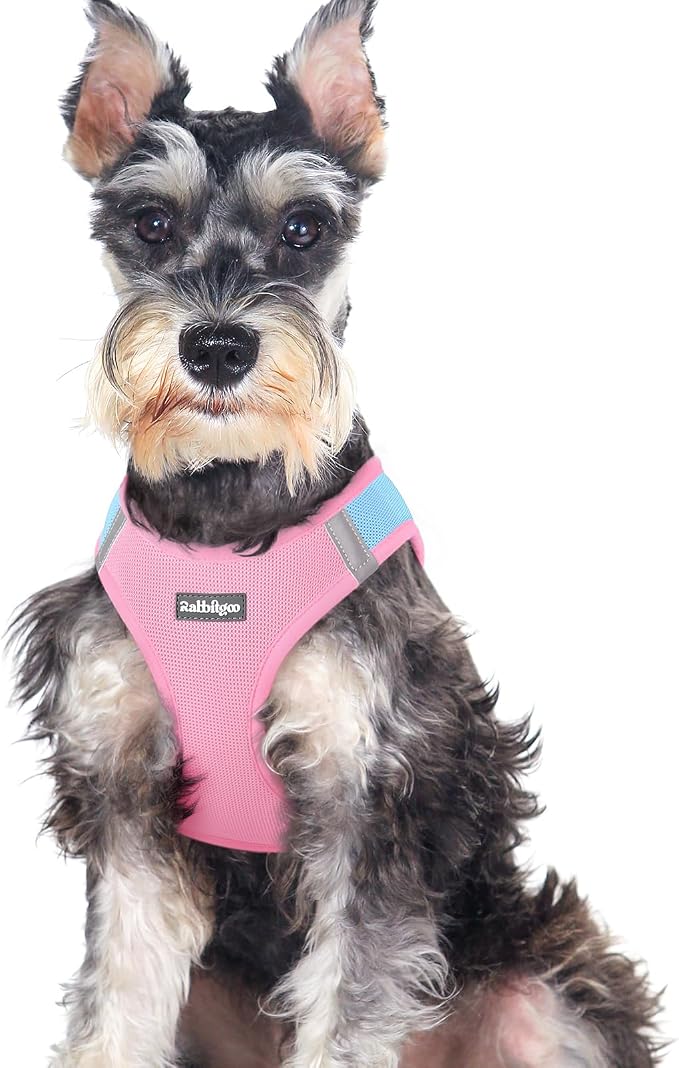 rabbitgoo Step-in Small Dog Harness, Puppy Vest for Medium Sized Pet | Easy Put on and off, Lightweight, Soft, Breathable Quick-Dry Air Mesh for Comfortable Secure Walking, Blue & Light Pink XXL