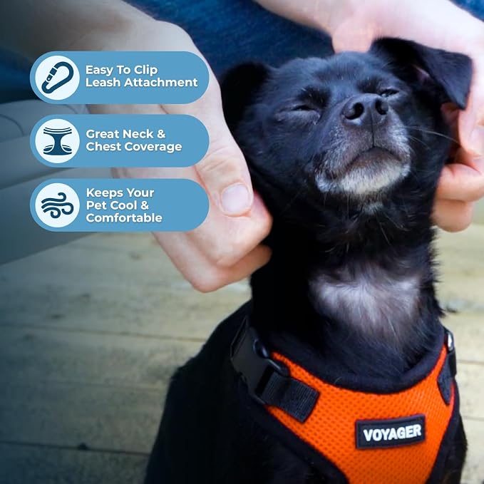 Best Pet Supplies Voyager Step-in Lock Pet Harness w Reflective Pet Leash Combo Set with Neoprene Handle 5ft - Supports Small, Medium and Large Breed Puppies/Cats - Orange/Black Trim Set, L