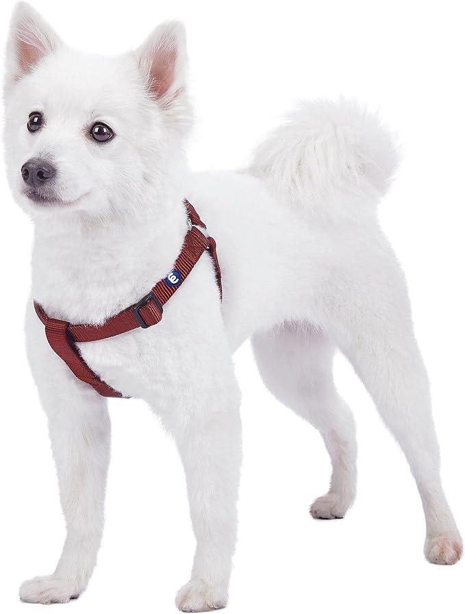 Blueberry Pet Essentials Step-in Dog Harness, Large Size | Adjustable Fired Brick Vest | Classic Solid Nylon for Boy & Girl Dogs, Chest Girth 26"-39"