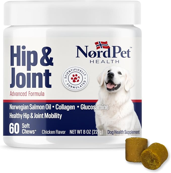 Hip & Joint Supplement for Dogs | Norwegian Salmon Oil, Glucosamine, Chondroitin, MSM, Green Lipped Mussel, Collagen | Mobility Soft Chews for Small, Medium & Large Dogs, 60 Count