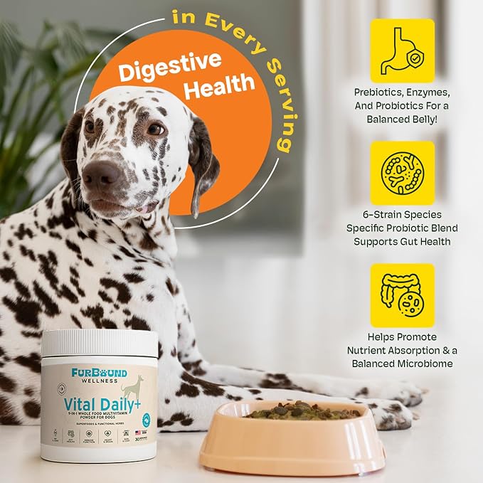 Dog Multivitamin Powder, Skin Coat Joint & Gut, Cheesy Beef