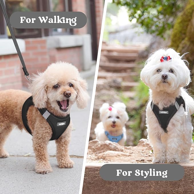 rabbitgoo Step-in Small Dog Harness, Puppy Vest for Medium Sized Pet | Easy Put on and off, Lightweight, Soft, Breathable Quick-Dry Air Mesh for Comfortable Secure Walking, Black XXL
