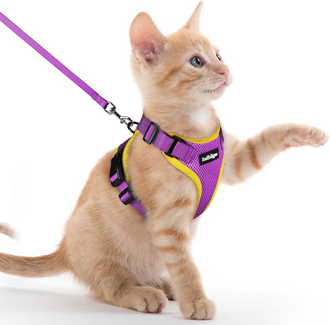rabbitgoo Cat Harness and Leash Set, Escape Proof Vest, Purple & Yellow | Soft Breathable Mesh, Easy Adjustable Fit, Snap Buckles, Sturdy Clip, Reflective Strips, for Kittens & Small Cats Walks, Xxs