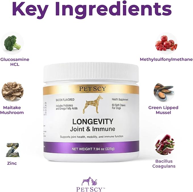 Petscy Longevity Hip & Joint + Immune Support Chews for Dogs - 3.75g Chew - High Dose Glucosamine, MSM, Chondroitin, Green Lipped Mussel, Omega 3, Probiotics - 60 Chews (Small & Medium Dogs)