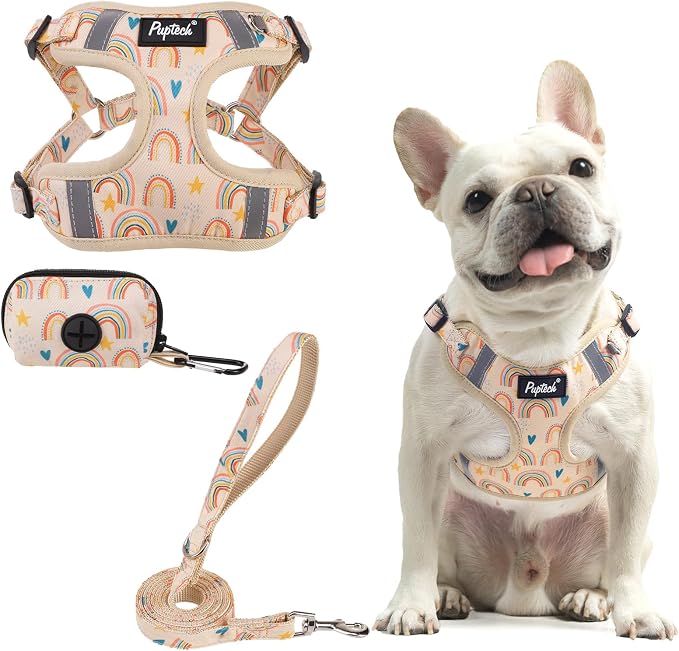 PUPTECK Dog Harness and Leash Set Medium Sized, Step in No Pull Adjustable Puppy Cat Harness Reflective Pet Vest