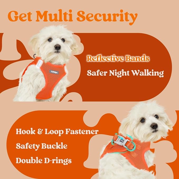 rabbitgoo Step-in Small Dog Harness, Puppy Vest for Small Sized Pet | Easy Put on and off, Lightweight, Soft, Breathable Quick-Dry Air Mesh for Comfortable Secure Walking, Orange S