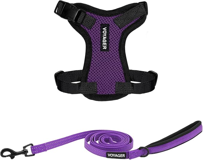 Best Pet Supplies Voyager Step-in Lock Pet Harness w Reflective Pet Leash Combo Set with Neoprene Handle 5ft - Supports Small, Medium and Large Breed Puppies/Cats - Purple/Black Trim, XXXS