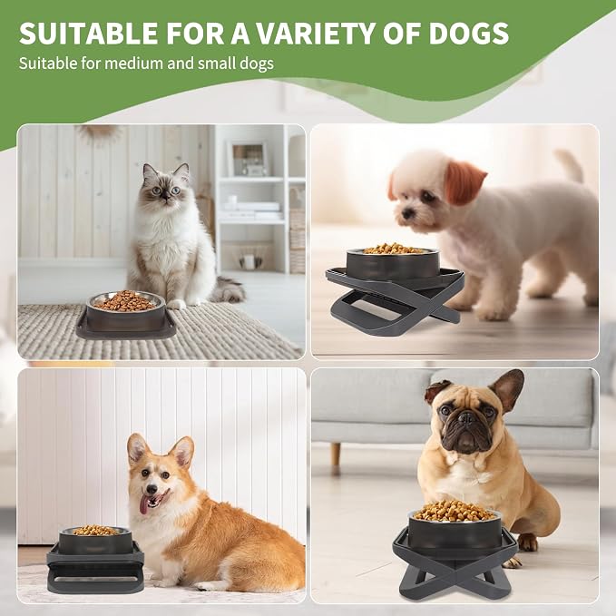 Raised Dog Bowls for Small & Medium Dogs, Adjustable Elevated Stainless Steel Food or Water Bowl, No Spill Non-Slip Dog Feeder Stand for Pets