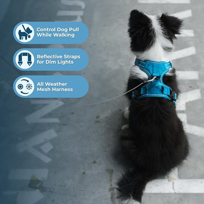 Voyager Dual Attachment No Pull Harness - Turquoise, Large | 25-30" in Chest, No Pull Dog Harness, Fully Adjustable, 3M Reflective Technology, Front & Back D-Rings, Walking & Training
