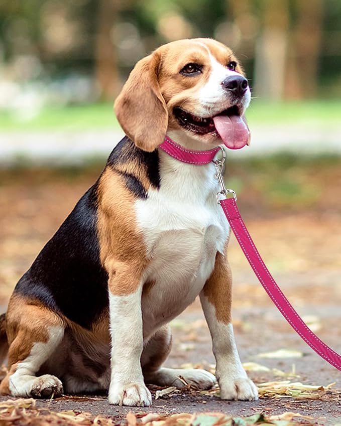 Taglory Reflective Dog Leash for Small Dogs, 3/4in x 6ft, Hot Pink | Ideal for Night Walking, Strong for Sudden Pulls, Lightweight & Gentle on the Neck, Soft Padded Handle