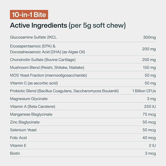 JustFoodForDogs 10-in-1 Supplement for Dogs, Dog Multivitamin Chews - 45 Ct | Human Grade Dog Supplement for Immune, Skin and Joint Health, Omega 3 for Dogs, Superfood Blend, Plant Based Dog Vitamins