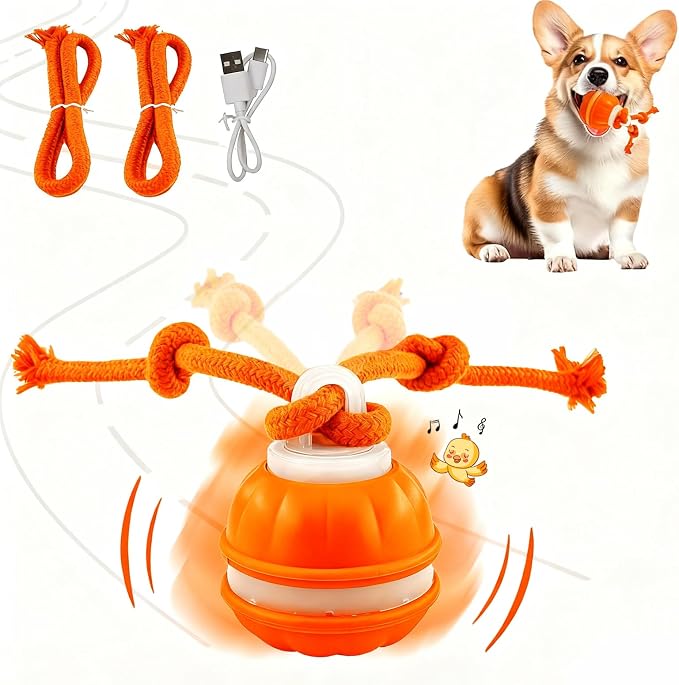 P06 Interactive Dog Toys Dog Balls, Electric Automatic Moving and Rolling Dog Toy with Rope for Small Medium Dogs, Fun Smart Puppy Toy s for Boredom & Training, Dog Toys to Keep Them Busy (Orange) | Auto-Moving Puppy Toys, 3 Modes with RGB Lights & Bir...