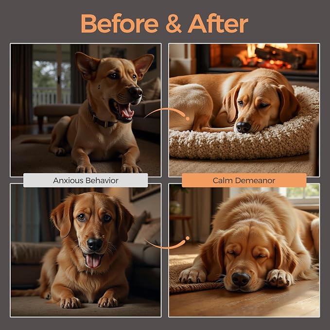 Melatonin Calming Chews for Dogs, Chicken, 300g