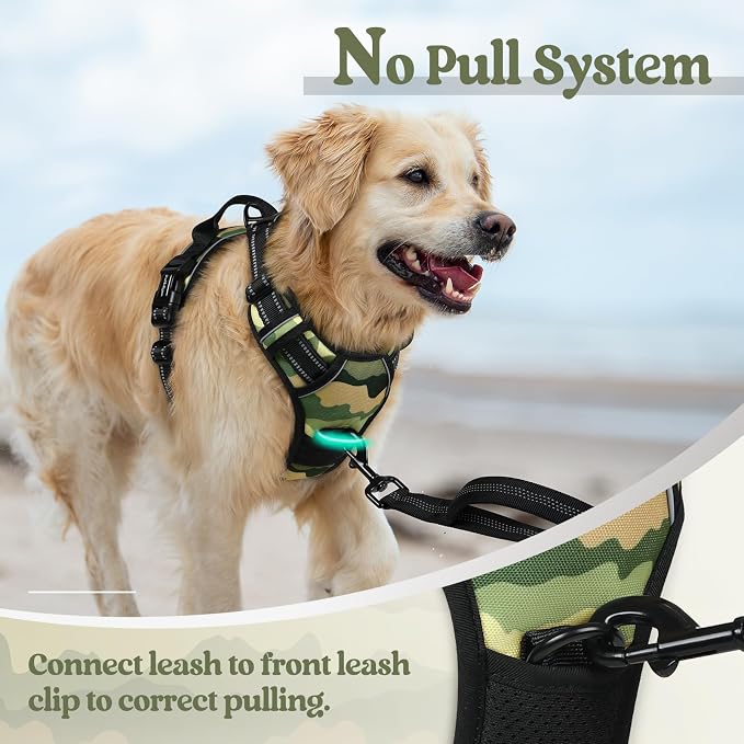 rabbitgoo Dog Harness, No Pull for Large Dogs with 2 Leash Clips, Pet Vest | No Choke with Handle, Adjustable Soft Padded, Reflective, Easy Control for Walking, Green Mountain, Large