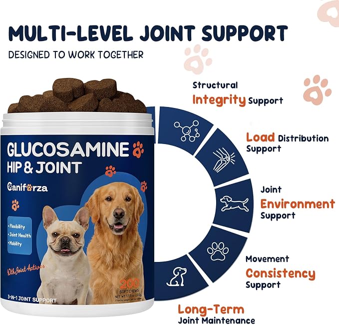 Dog Joint Support Supplement – Glucosamine, Chondroitin & MSM for Hip & Joint Function Support, Flexibility, and Daily Activity – 200 Soft Chews