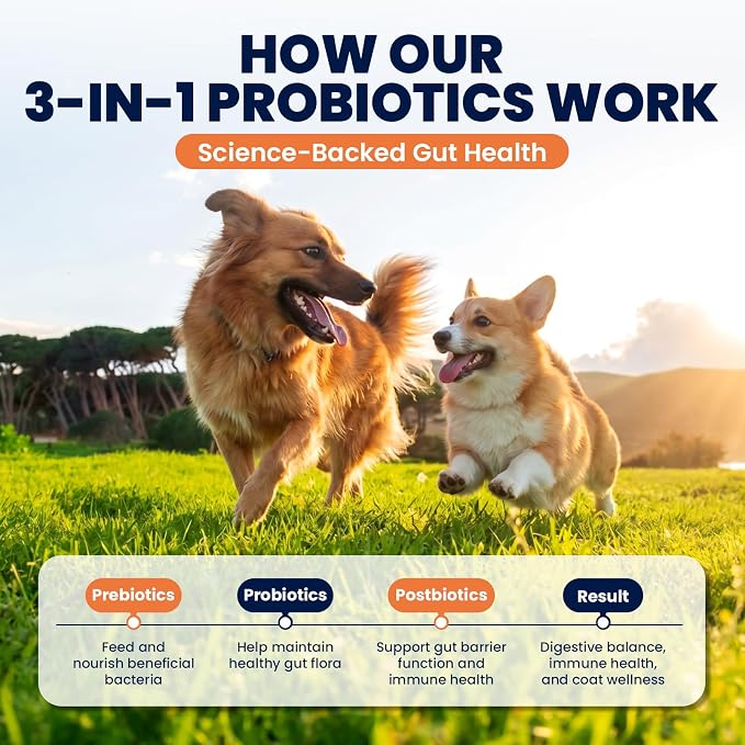 Probiotics for Dogs Daily Gut Support Dog Probiotics 3 in 1 Chews to Promote Digestive Immune and Skin Health Dog Probiotic for Gut Comfort Dog Probiotics for Digestive Health 180 Ct