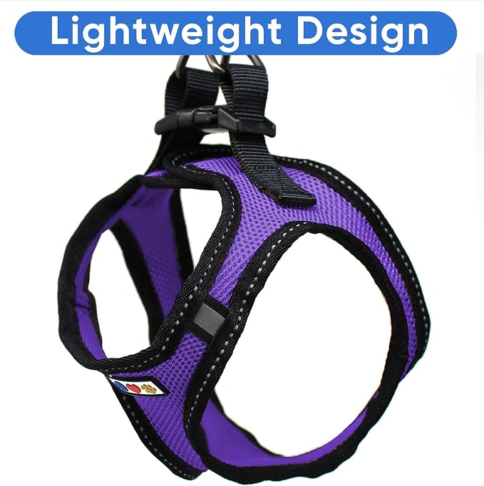 Pawtitas Dog Vest Harness Made with Breathable Air Mesh | All Weather Vest Harness for Small Puppies and Large Cats with Quick-Release Buckle - Small Purple Mesh Dog Harness