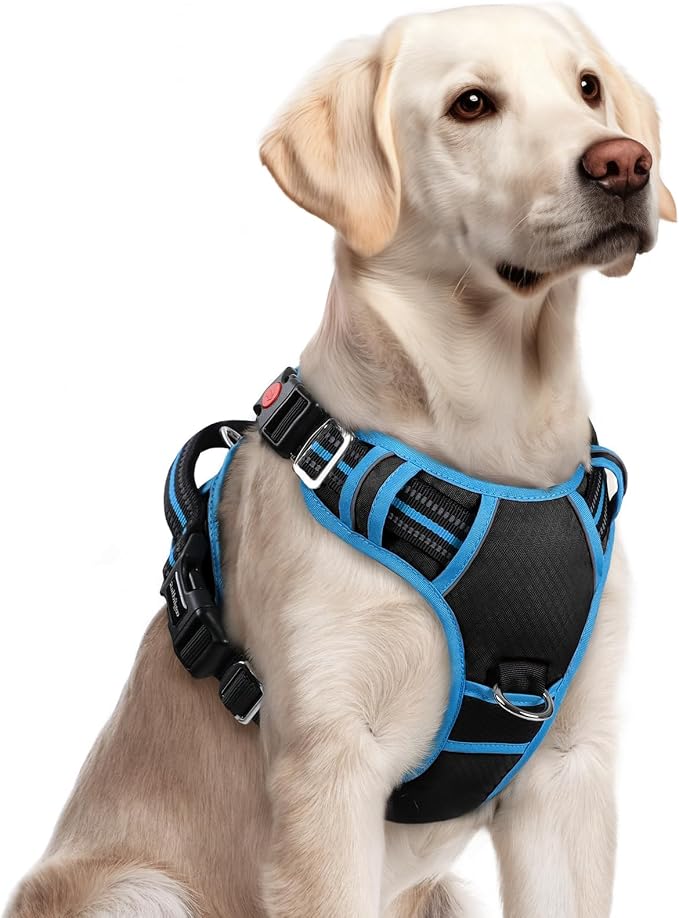 rabbitgoo Dog Harness for Large, No Pull 3 Buckles Easy On & Off | Soft Padded, Walking with Control Handle, Adjustable and Reflective, Black & Blue, Large