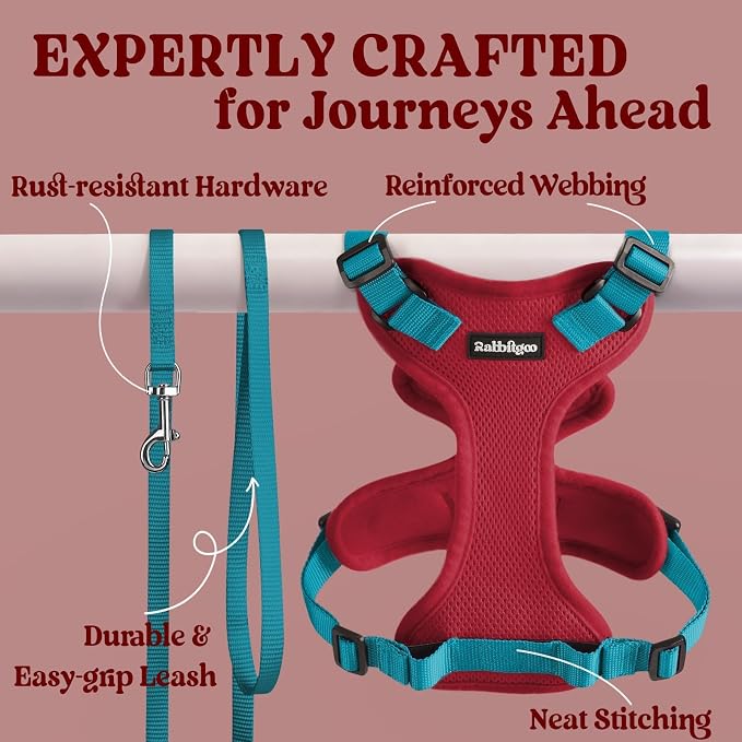 rabbitgoo Cat Harness and Leash Set, Escape Proof Vest, Red & Teal | Soft Breathable Mesh, Easy Adjustable Fit, Snap Buckles, Sturdy Clip, Reflective Strips, for Medium to Large Cats Walks, M