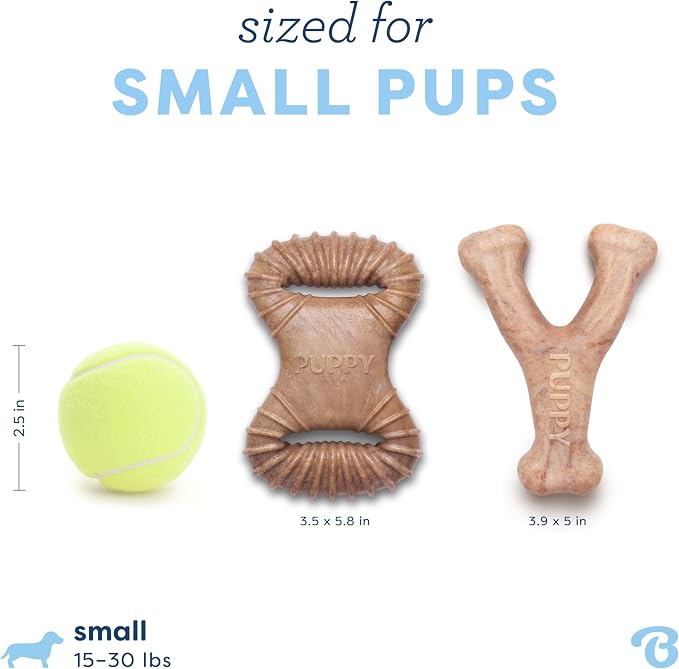 Benebone Puppy 2-Pack Dental Chew/Wishbone Dog Chew Toys, Real Bacon, Small | Durable, Made in USA, Dog Bones, Puppy Toys, Puppy Teething Toys, Long-Lasting, Keeps Them Busy