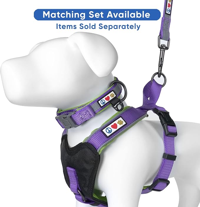 Pawtitas Personalized Purple Dog Leash 6 ft Custom ID Lead for Dogs & Puppies Reflective Comfortable Padded Handle Embroidered Name & Phone Number