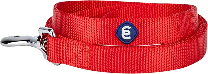 Blueberry Pet Essentials Rouge Red Dog Leash for Small -5' * 5/8" Dogs | Heavy Duty Nylon Lead | Lightweight Puppy & Cat Leash for Walking & Training