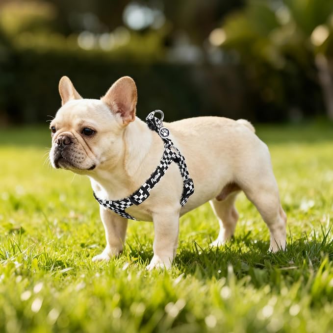 PUPTECK No Pull Dog Harness Medium Sized Step-in Adjustable Puppy Vest | Soft Webbing Basic Halter with ID Tag for Outdoor Walking