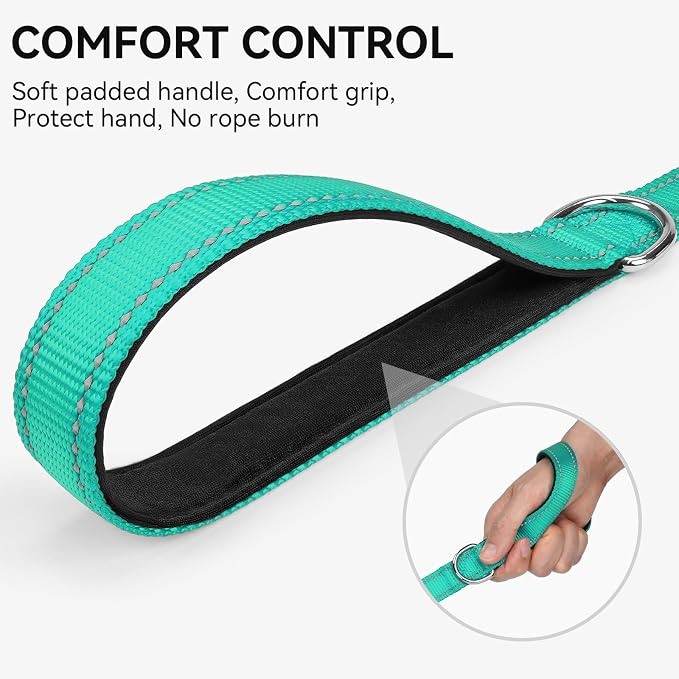 Joytale Reflective Dog Leash for Small Dogs, 4 FT x 3/4", Turquoise | Heavy Duty Nylon Webbing, Padded Handle for Comfort, Visible at Night, for Walking & Training