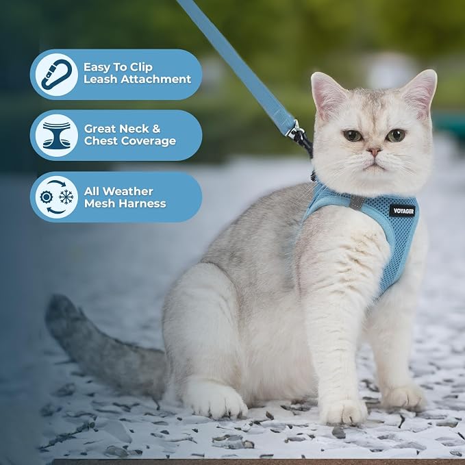 Voyager Step-in Pet Harness - All Weather Mesh, Adjustable Step in Harness for Cats and Dogs by Best Pet Supplies - 307S Baby Blue, M