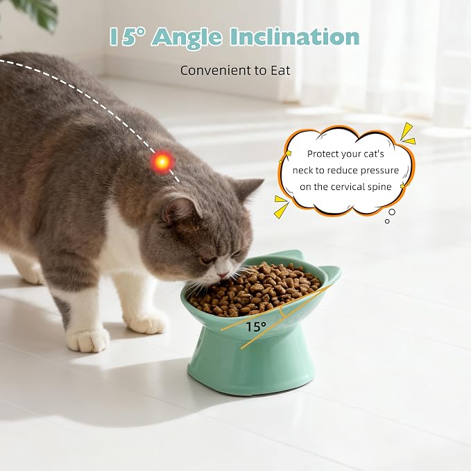 KSIA Klear Elevated Cat Bowls 2 Pack, Tilted Raised Cat Bowls for Indoor Cats, for Food and Water, 4.72" Wide, Whisker Friendly Anti Vomit for Indoor Cats, Microwave and Dishwasher Safe, Blue&Green