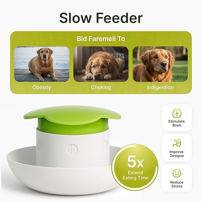 Dog Slow Feeder Bowl – Interactive Puzzle Feeder for Dogs – Fun Eating Game to Slow Down Fast Eaters – Non-Slip Design – Food & Water Bowl for Small, Medium & Large Dogs – Green