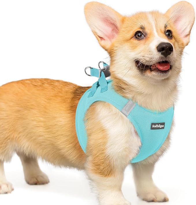 rabbitgoo Step-in Small Dog Harness, Puppy Vest for Small Medium Sized Pet | Easy Put on and off, Lightweight, Soft, Breathable Quick-Dry Air Mesh for Comfortable Secure Walking, Mint Blue L