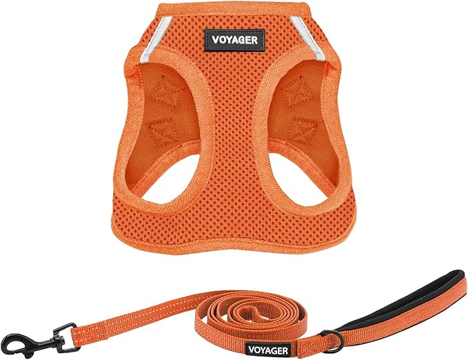 Best Pet Supplies Voyager Step-in Air All Weather Mesh Harness and Reflective Dog 5ft Leash Combo with Neoprene Handle, for Small, Medium and Large Breed Puppies - Orange, Small