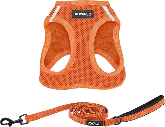 Best Pet Supplies Voyager Step-in Air All Weather Mesh Harness and Reflective Dog 5ft Leash Combo with Neoprene Handle, for Small, Medium and Large Breed Puppies - Orange, X-Small