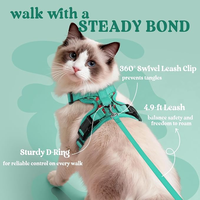rabbitgoo Cat Harness and Leash Set, Escape Proof Vest, Cherry Grove | Soft Breathable Mesh, Easy Adjustable Fit, Snap Buckles, Sturdy Clip, Reflective Strips, for Medium to Large Cats Walks, M
