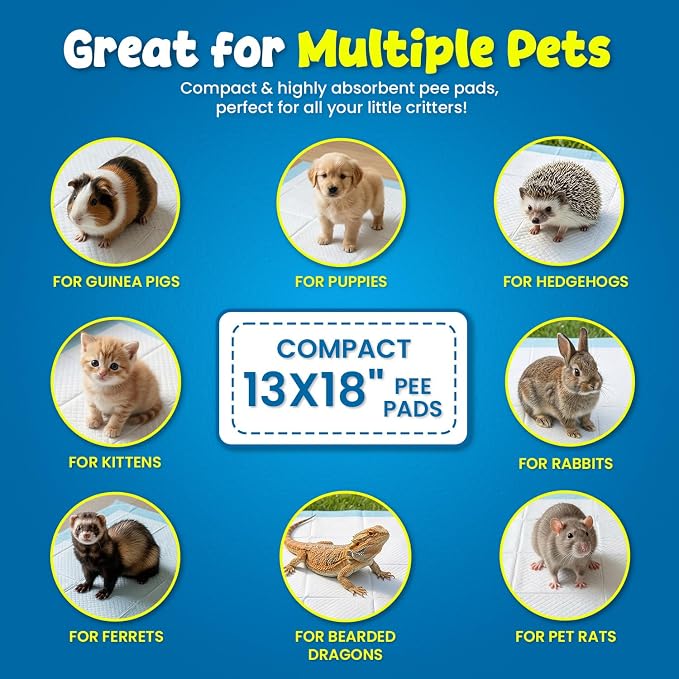 Kashmir FPN Pee Pads for Puppy and Dogs Training Pads (300 Count Pads) Heavy Duty Dog Pads, 5 Layer Pads for Instant Absorption (Blue) (13x18 Inches, 300)