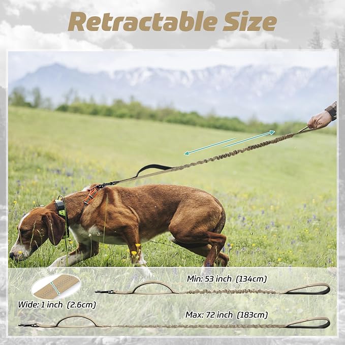 rabbitgoo Tactical Dog Leash, Heavy Duty Training Bungee Lead | Military Leash with 2 Padded Control Handles for Medium Large Dogs, No Pull for Shock Absorption, Reflective, Brown, 6FT