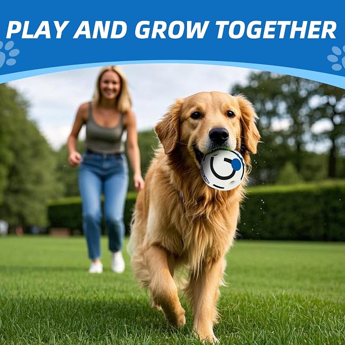 Glow in The Dark Dog Toys Ball, S, 3.14 in (8 cm) | Interactive, Shaking with Gibbering Sound
