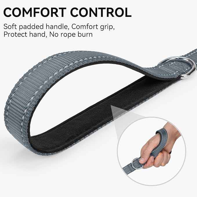 Joytale Reflective Dog Leash for Medium & Large Dogs, 5 FT x 1", Gray | Heavy Duty Nylon Webbing, Padded Handle for Comfort, Visible at Night, for Walking & Training
