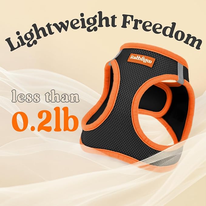 rabbitgoo Dog Harness Small Sized and Leash Set, Step in Soft Vest | Breathable Mesh, Easy Wear with Hook & Loop, Light and Reflective for Walking, Multi-colored, Black & Orange, L