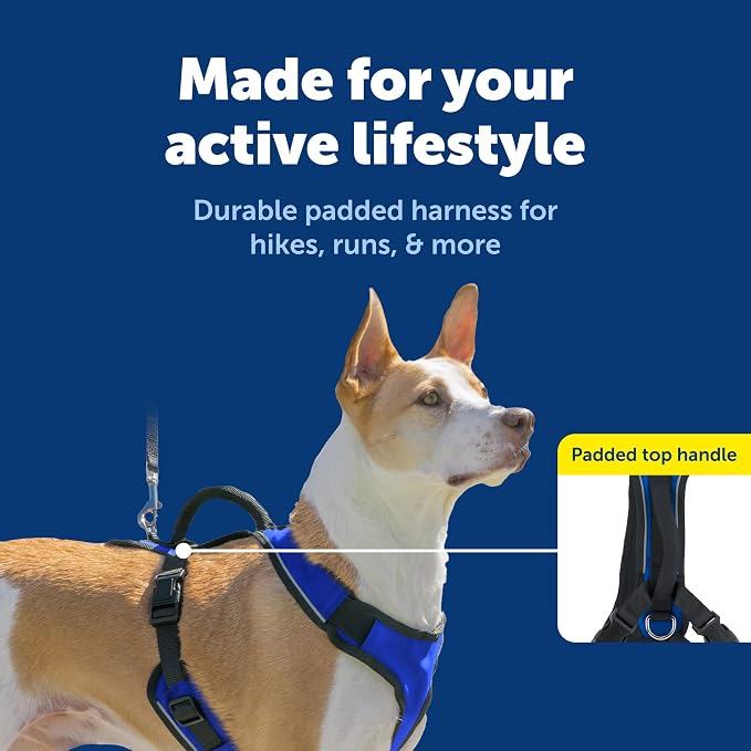 PetSafe EasySport Dog Harness, Blue, Medium | Padded, Elastic Neckline Harness for Active Dogs, Reflective Piping for Visibility, Top Control Handle, Rear Leash Clip